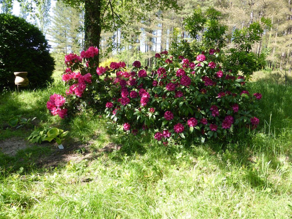 Les Fontenils Lassay-sur-Croisne Buitenkant foto